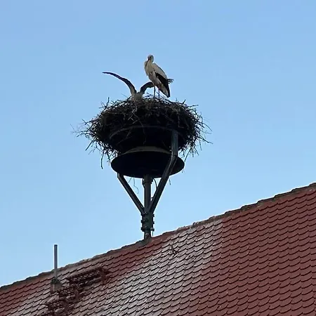 Am Storchennest Apartamento *