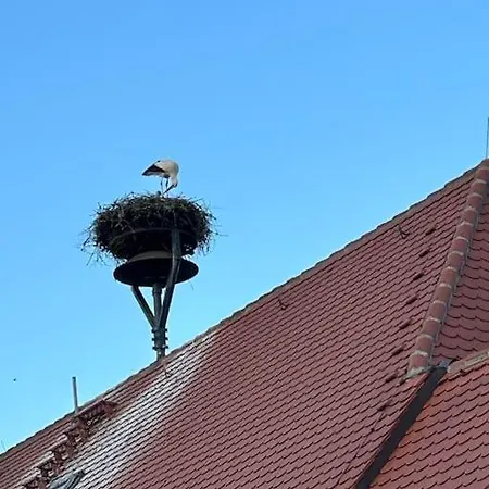 Am Storchennest * Untermunkheim