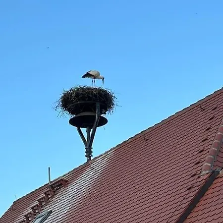 Am Storchennest Apartman