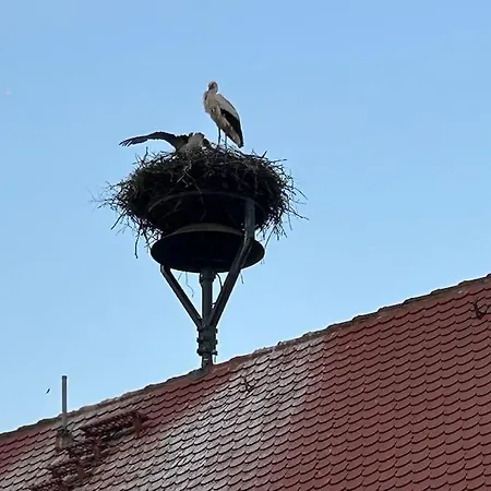 Am Storchennest