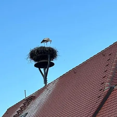 Apartamento Am Storchennest