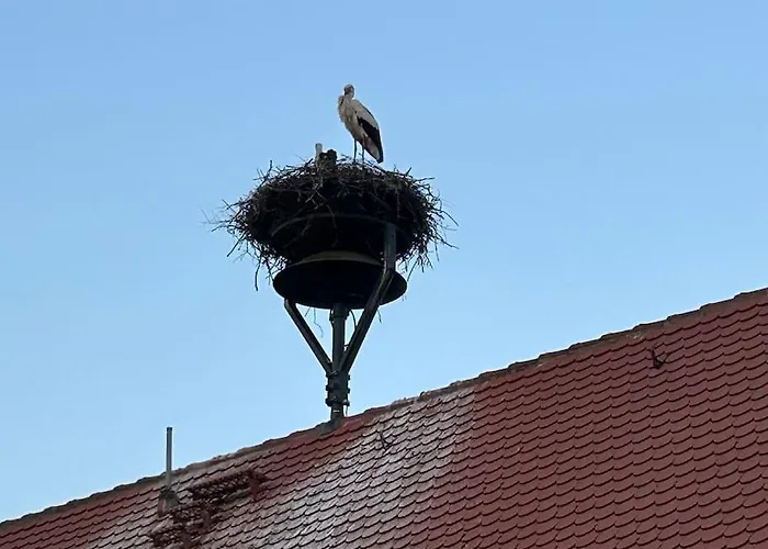 Apartament Am Storchennest *