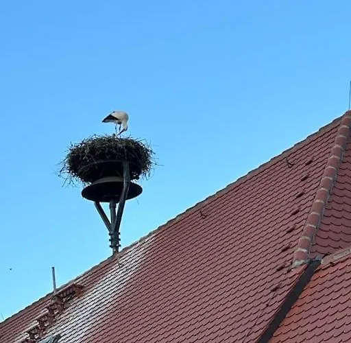 Am Storchennest * Untermunkheim