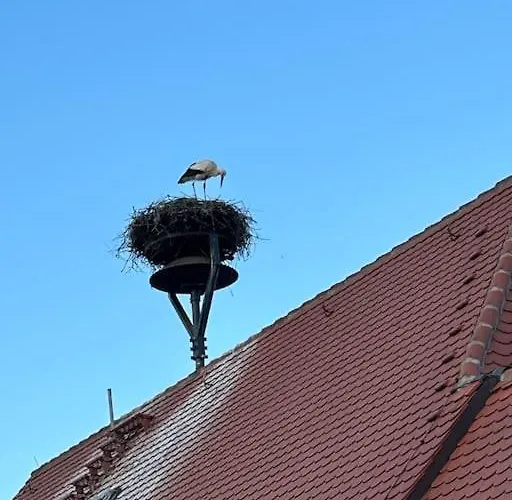 Apartament Am Storchennest